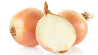 Meet Onionshare, the File Sharing App the Next Snowden Will Use
